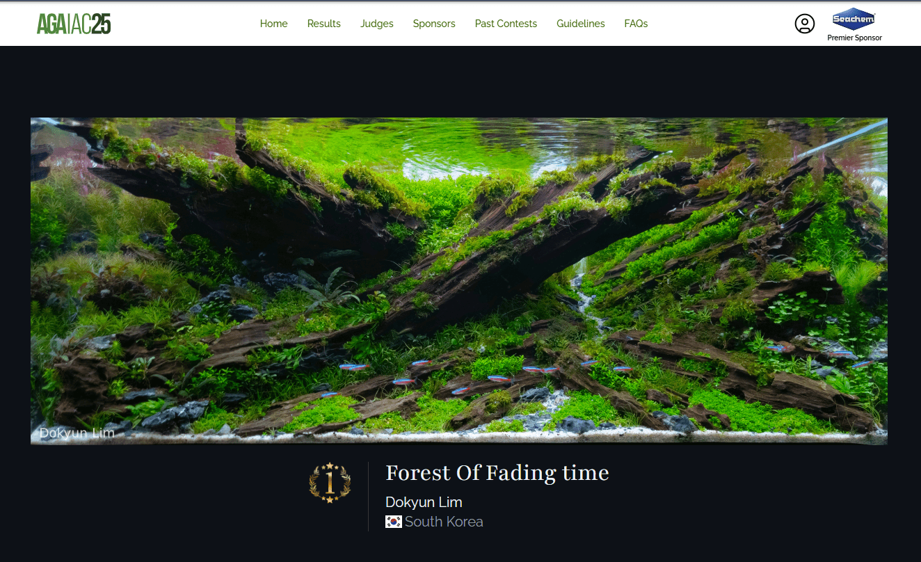 Forest Of Fading Time by Dokyun Lim